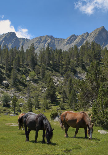 Aixirivall andorra